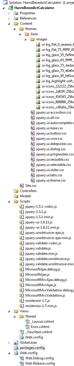 3 - What's in the empty ASP.NET MVC 3 project
