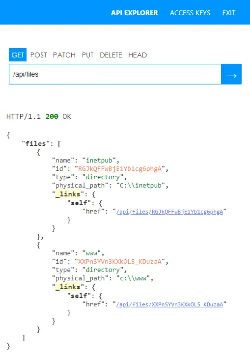 Populated file section in the IIS Administration API